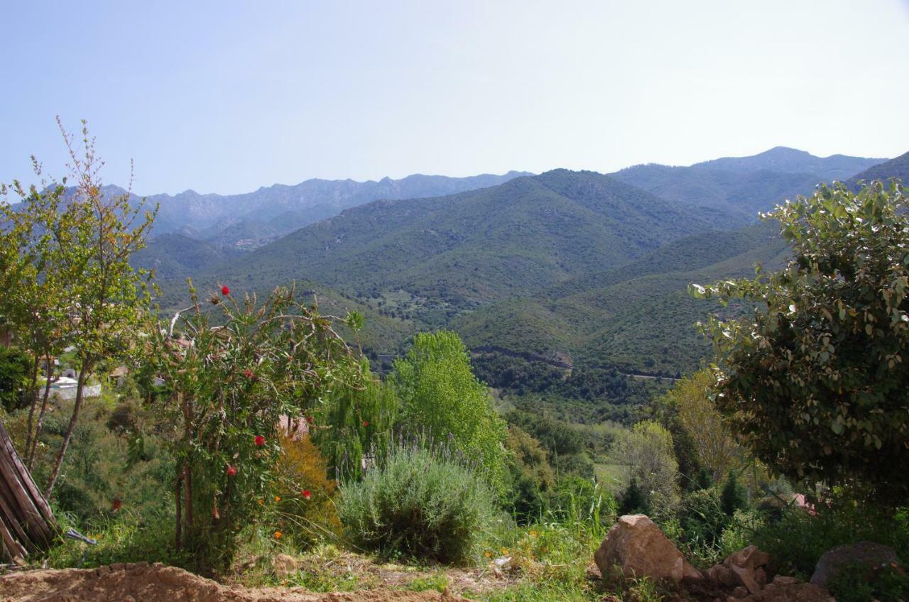 Casa Ib Bed and Breakfast Peri Esterno foto
