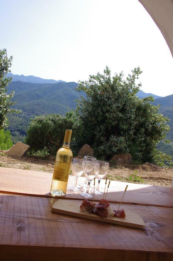 Casa Ib Bed and Breakfast Peri Esterno foto